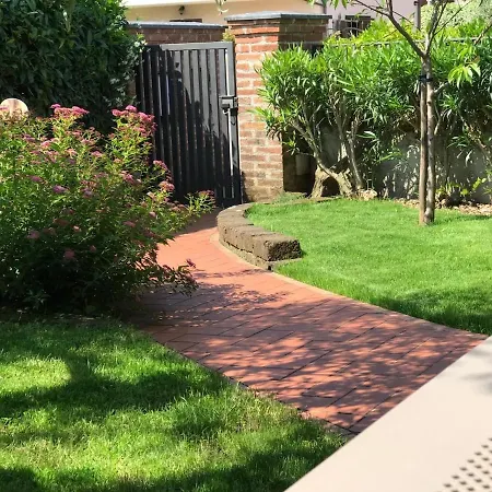 The Yellow House * 科斯特曼诺