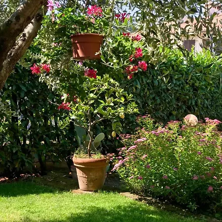 The Yellow House Tatil Evi