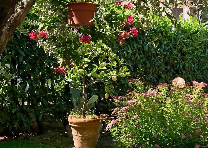 The Yellow House Dom wakacyjny